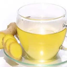 زنجبيل سادة